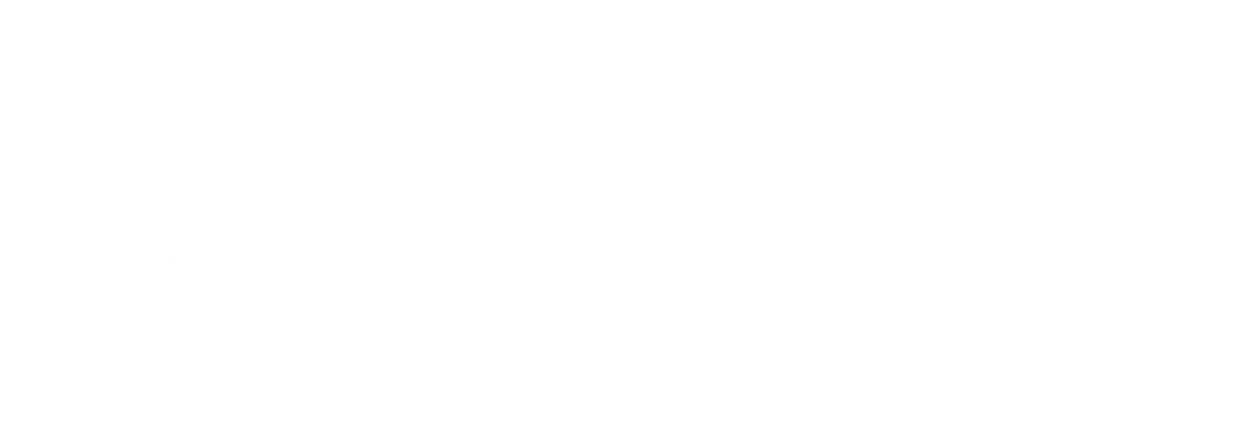 WidanPOS